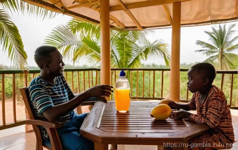 감비아 병원 및 의료 시스템 - **Modern Gambian Private Clinic:** A bright, clean, and welcoming consultation room in a private med...