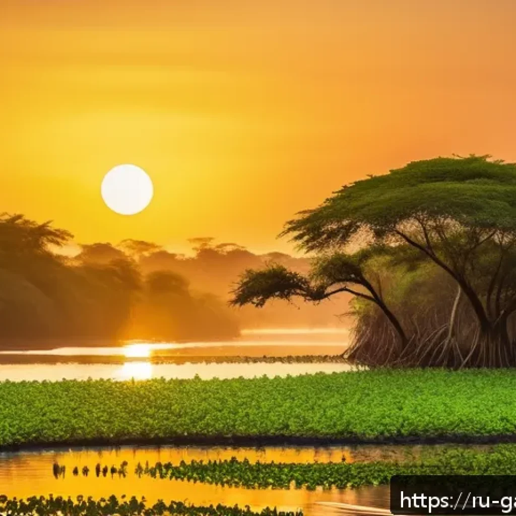 감비아 오지 탐험 - A vibrant scene of Gambian mangrove wetlands at sunrise, featuring lush green mangrove trees along a...
